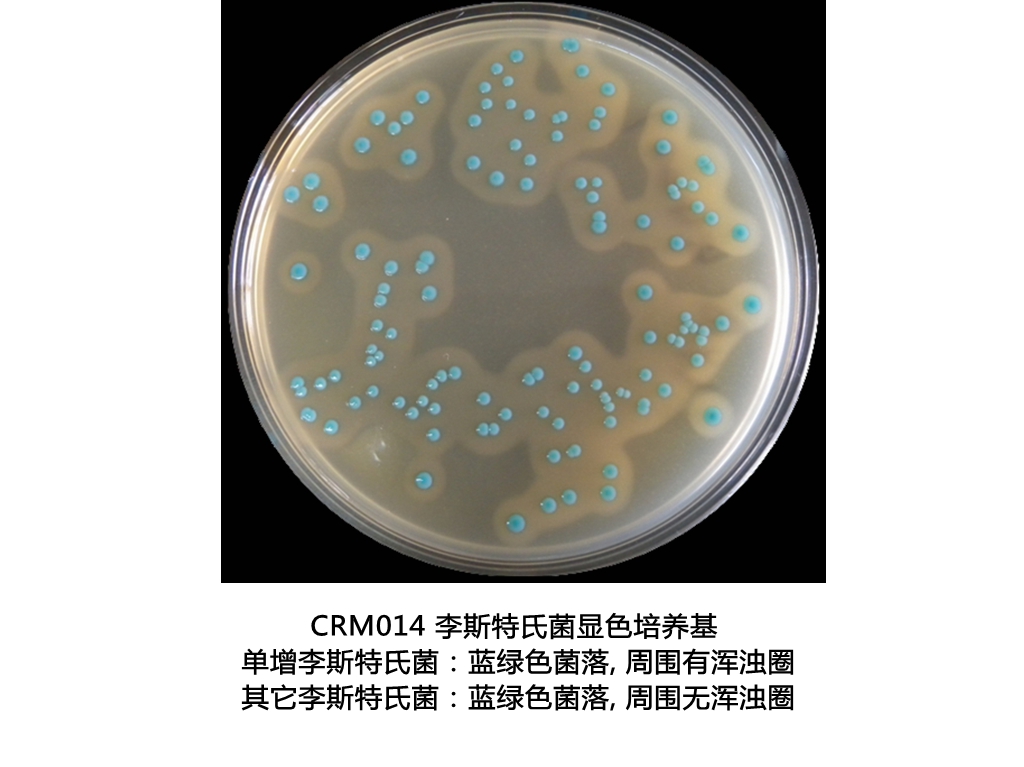 李斯特氏菌顯色培養基平板生物圖冊