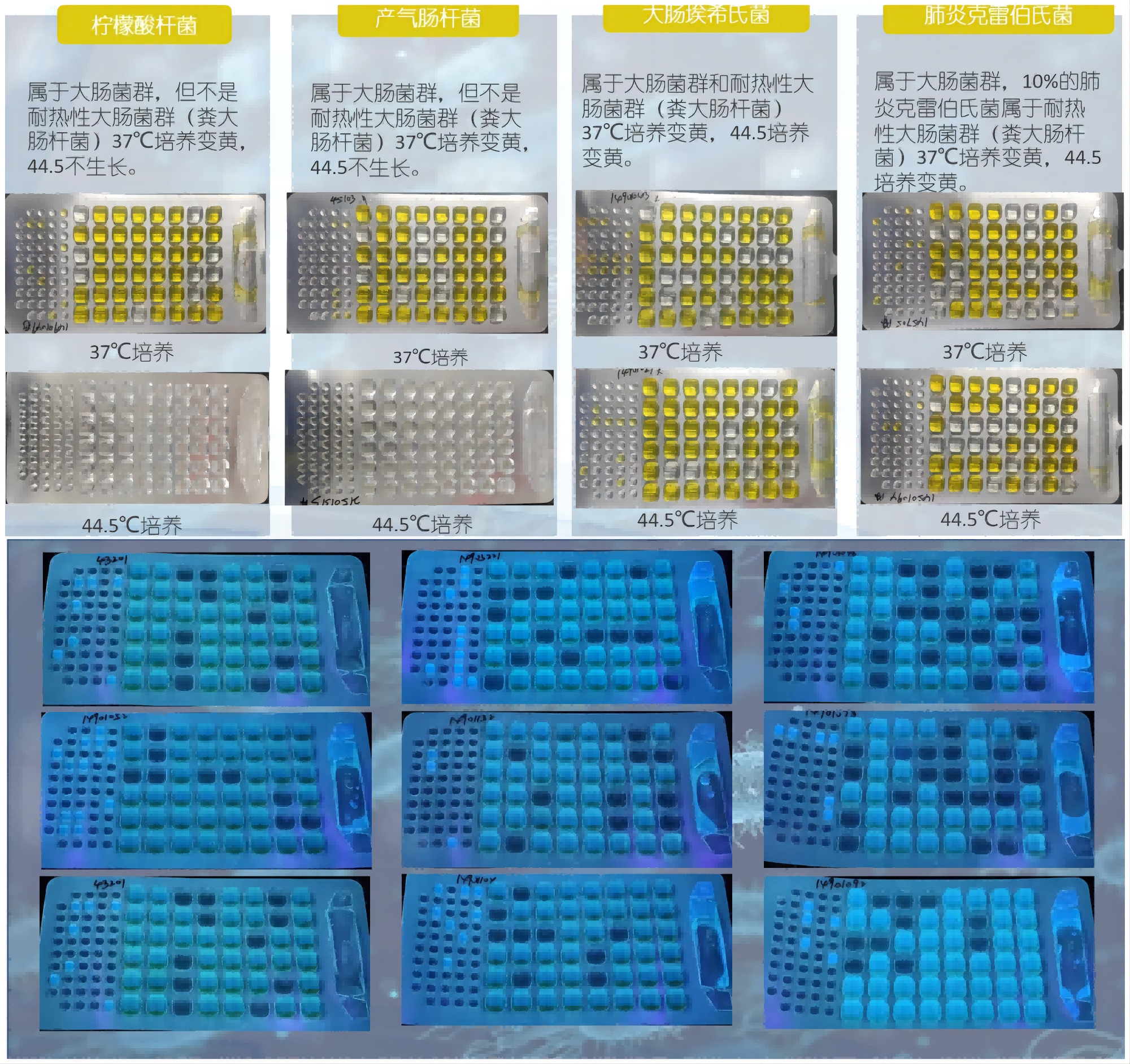 程控定量封口機結果判讀